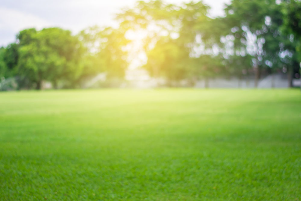 five-myths-about-synthetic-grass-synlawn-carolina